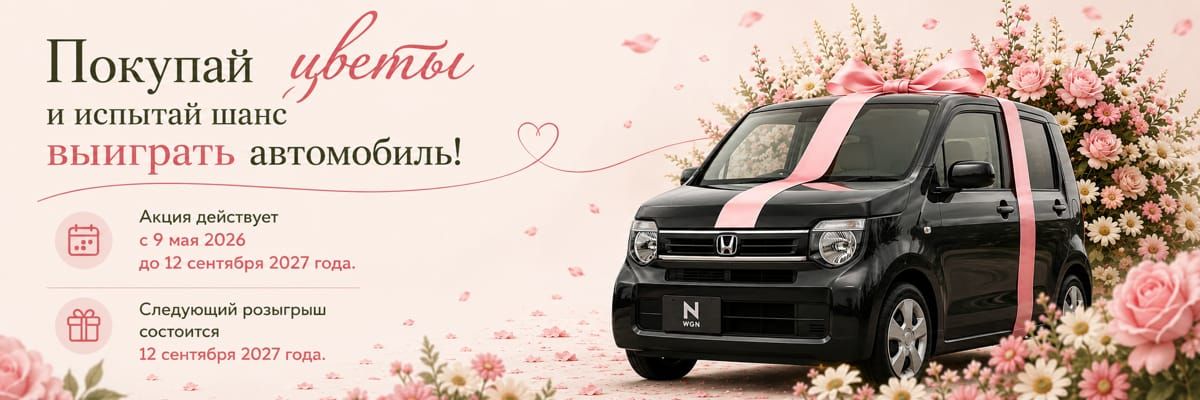 Розыгрыш 2027