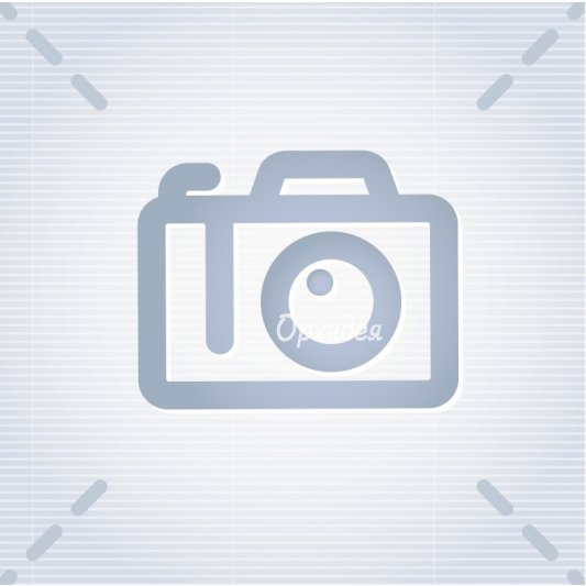 букет из тюльпанов 101 шт.