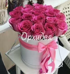 Композиция «Эйфория»