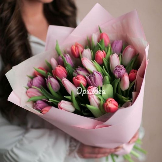 Букет из тюльпанов &laquo;Серенада&raquo;