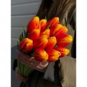 Букет из тюльпанов &laquo;Бавария&raquo;