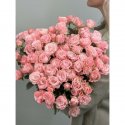 АКЦИЯ !!! Кустовая роза (розовая) -25 шт.