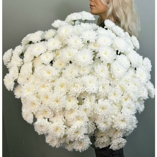 ! АКЦИЯ ! НА БЕЛУЮ ХРИЗАНТЕМУ 299 ₽