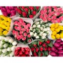 Тюльпаны в ассортименте