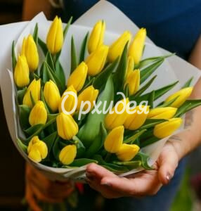 Букет  из тюльпанов «Ванда»