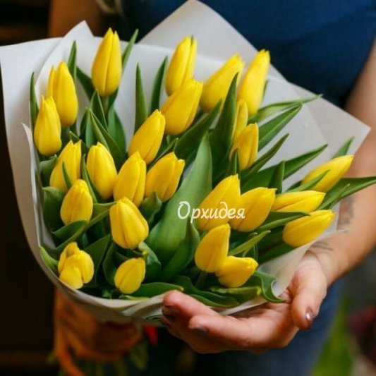 Букет  из тюльпанов &laquo;Ванда&raquo;