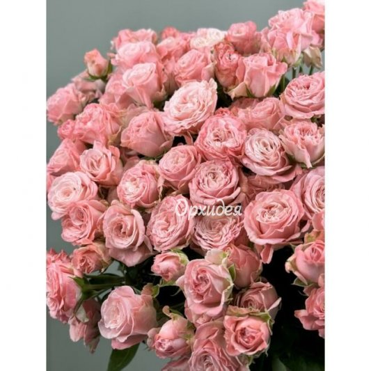 АКЦИЯ !!! Кустовая роза (розовая) -11 шт